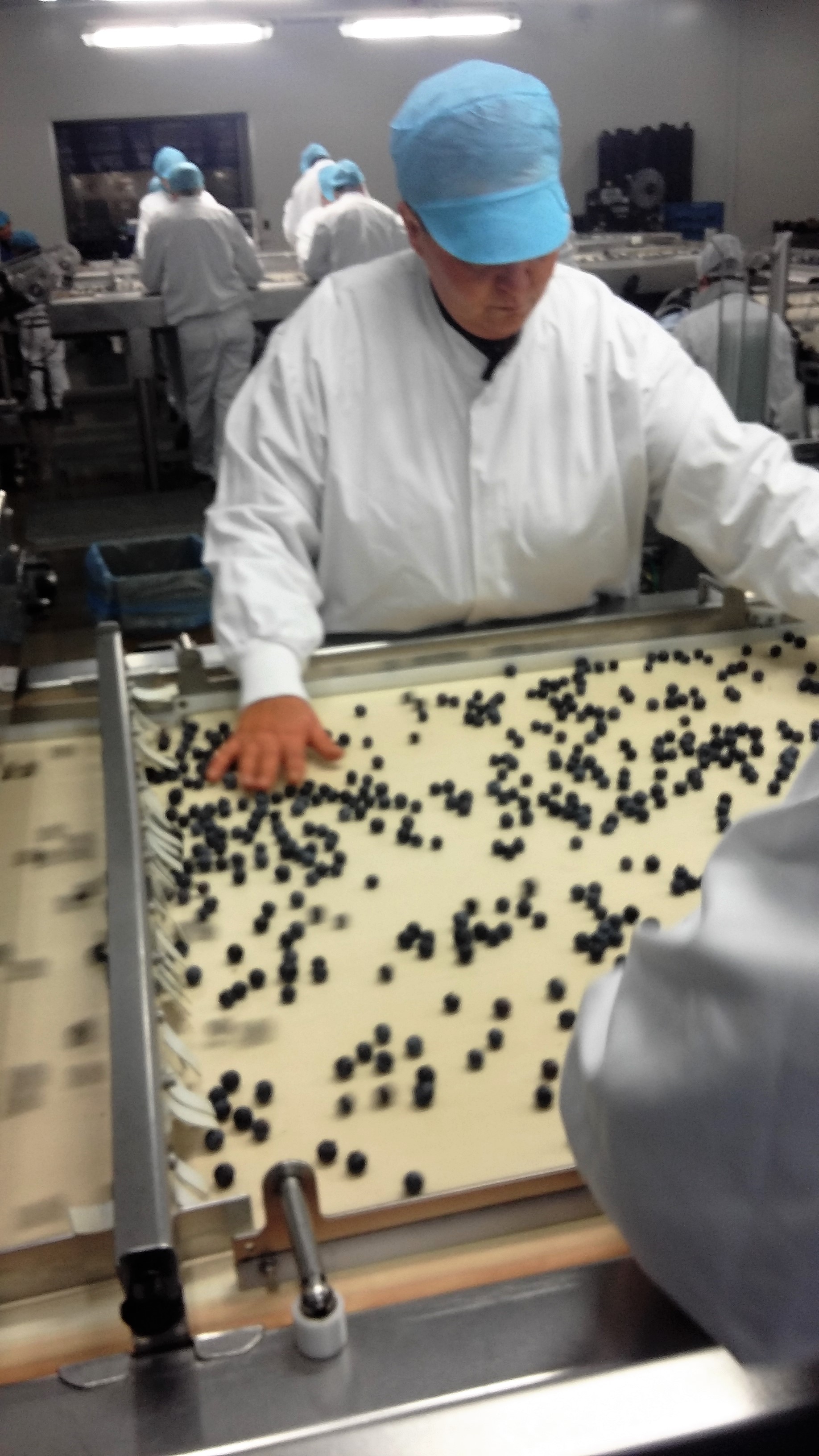 accommodationPhotoUrl