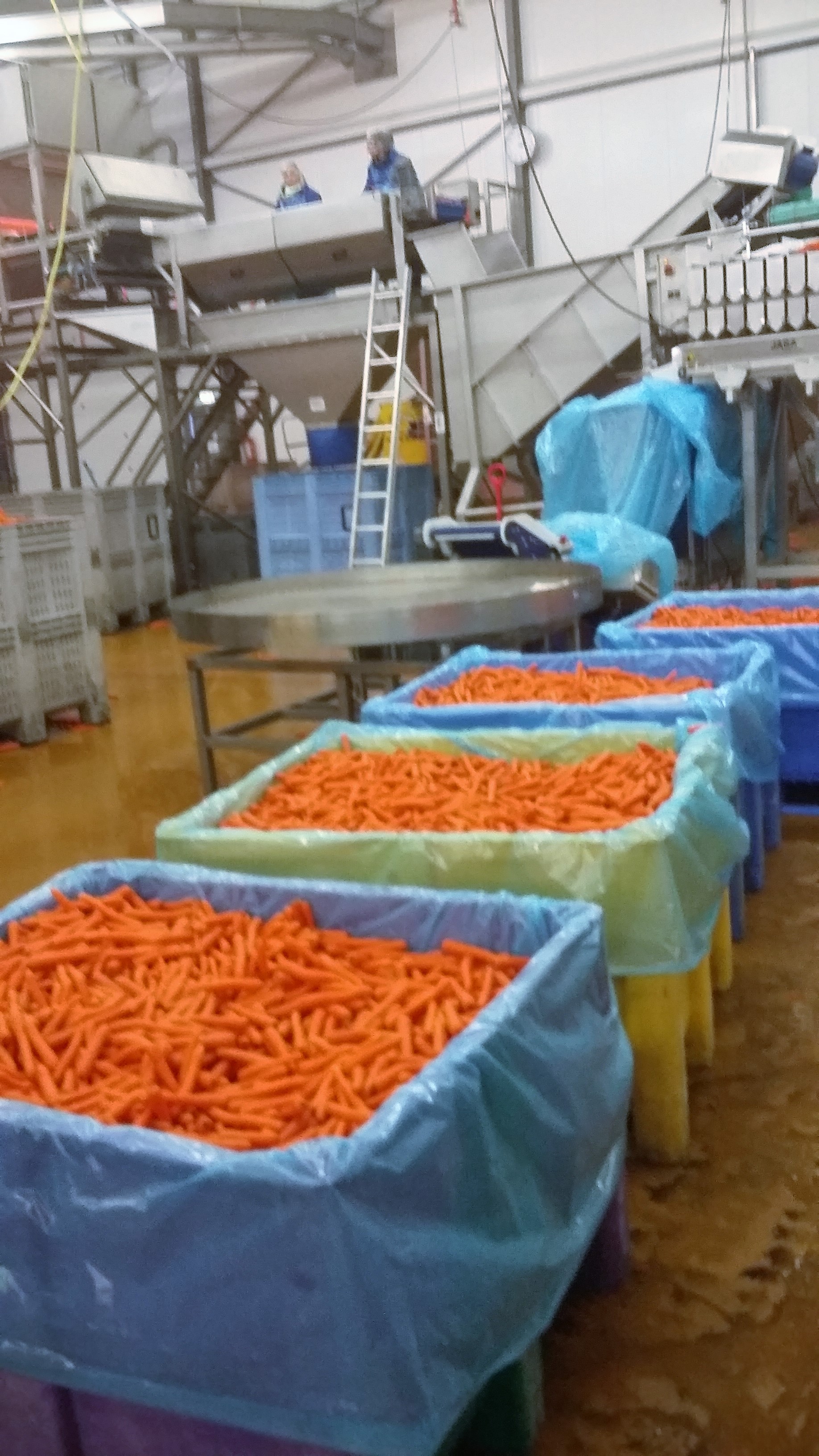 accommodationPhotoUrl