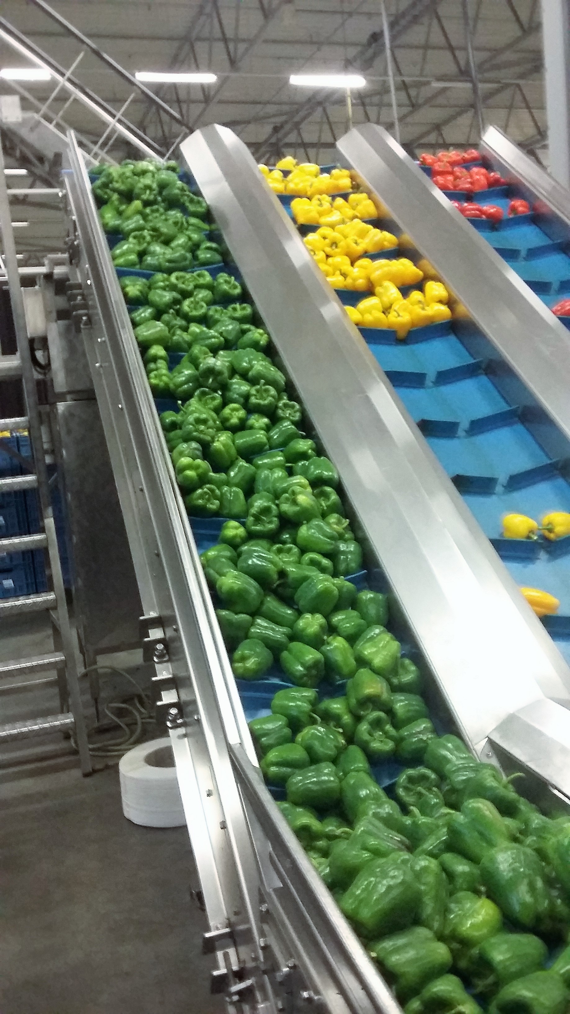 accommodationPhotoUrl