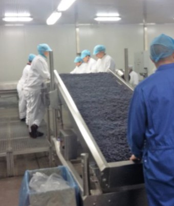 accommodationPhotoUrl