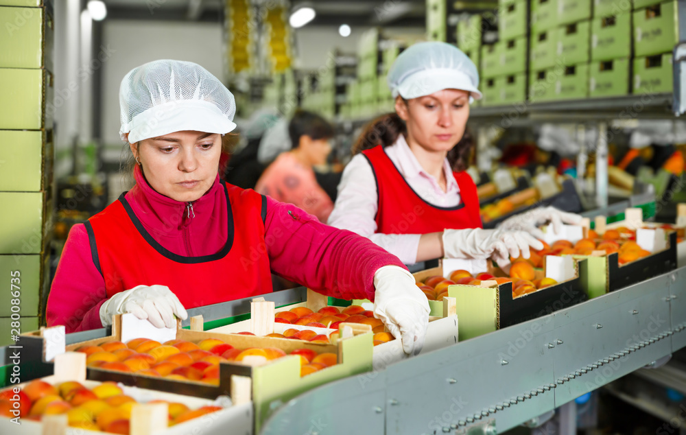 accommodationPhotoUrl