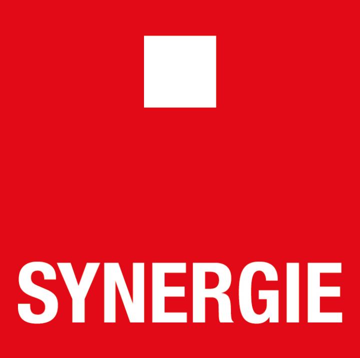 Logo Synergie Poland Sp. z o.o.